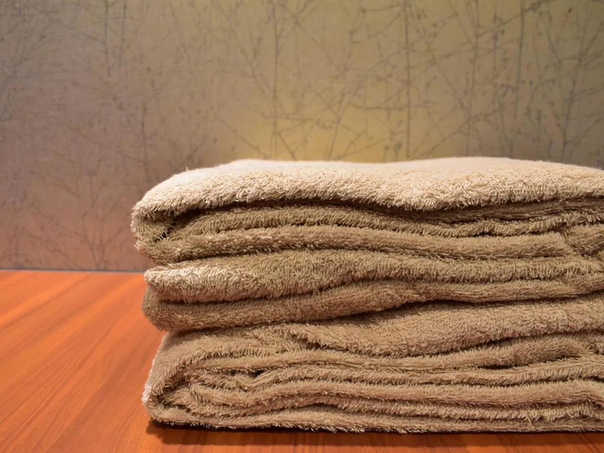 Dormy Inn Premium Kyoto Ekimae Natural Hot Spring Hotel